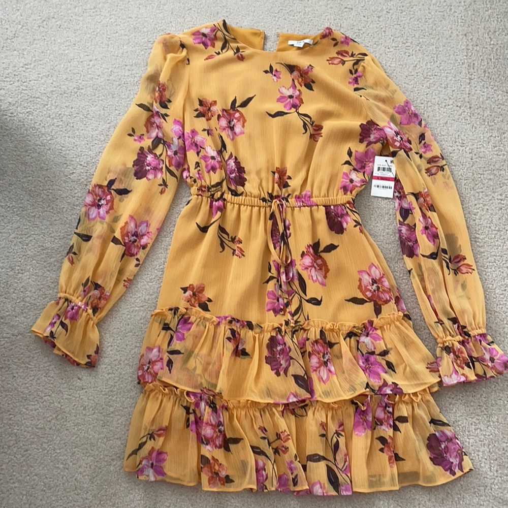 Bar iii dress